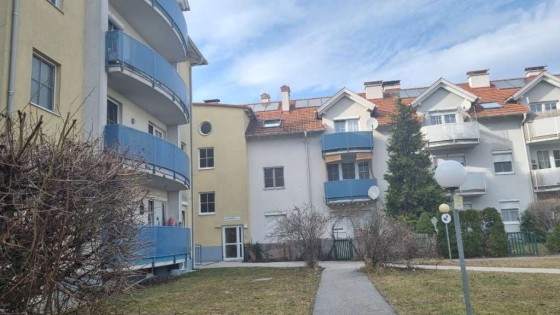 bild1